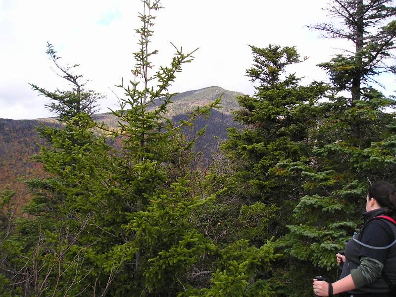 Hibbard (24).JPG - And Mt. Passaconaway through the trees.